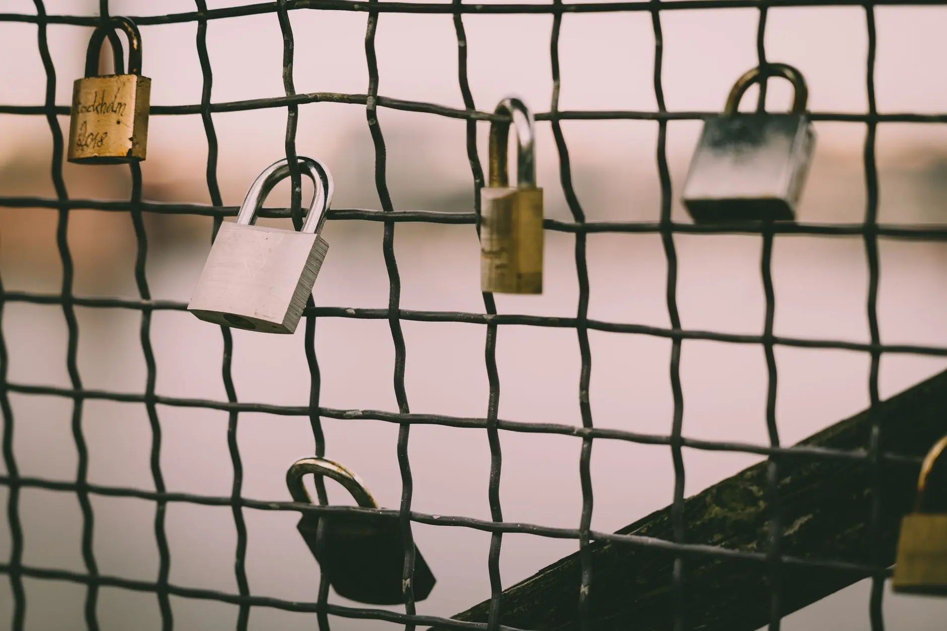 A metal padlock secures a wooden garden gate in bright natural sunlight.